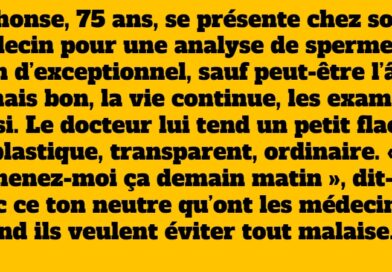 blague alphonse