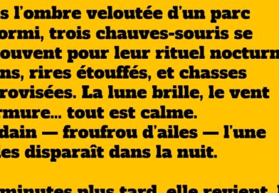 blague chauves souris 2