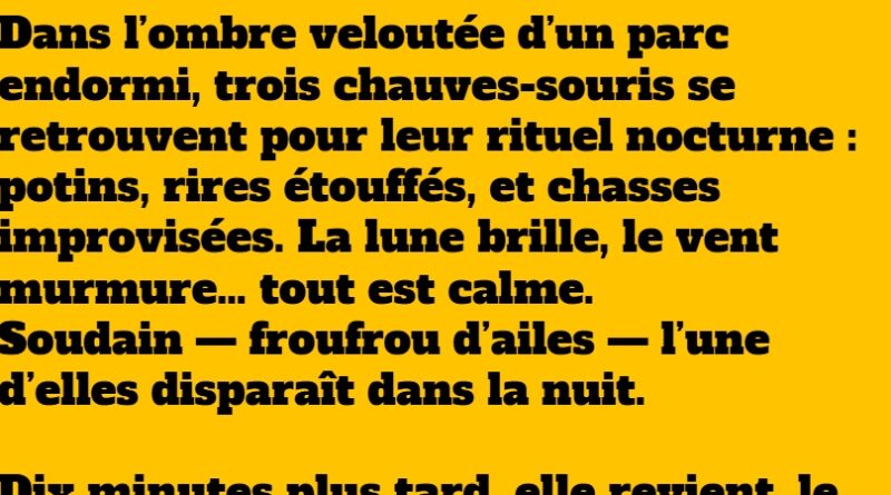 blague chauves souris 2
