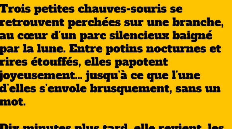 blague chauves souris