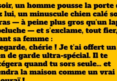 blague karaté