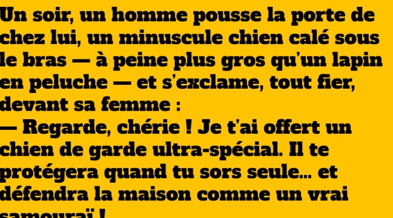 blague karaté