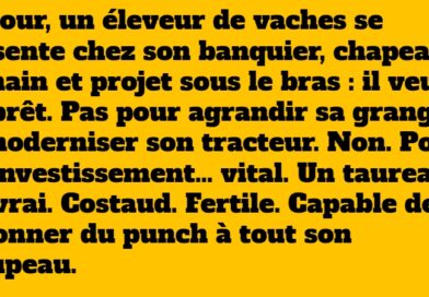 blague taureau
