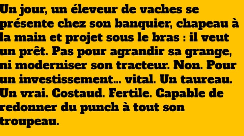 blague taureau