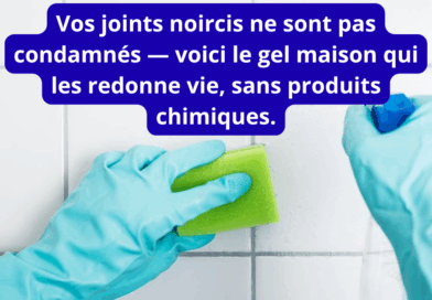 Votre texte de paragraphe (1)