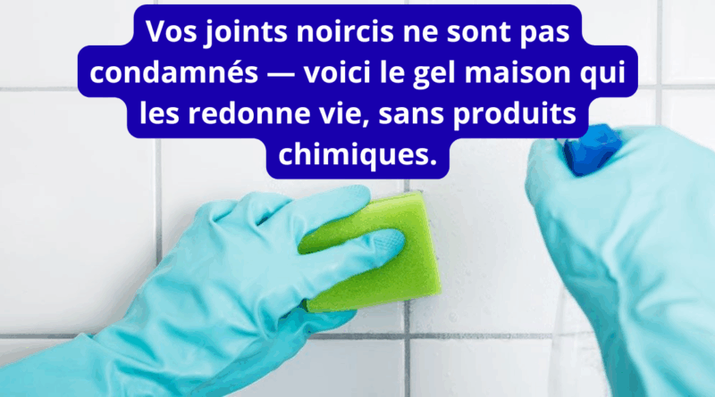 Votre texte de paragraphe (1)
