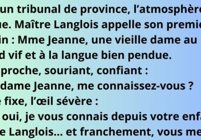 blague avocats