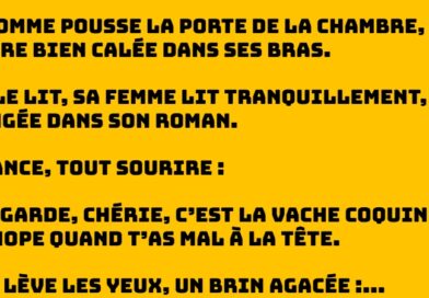 Quand la vache coquine devient une chèvre… et que l’humour sauve le couple !