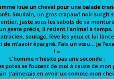 blague crapaud noir