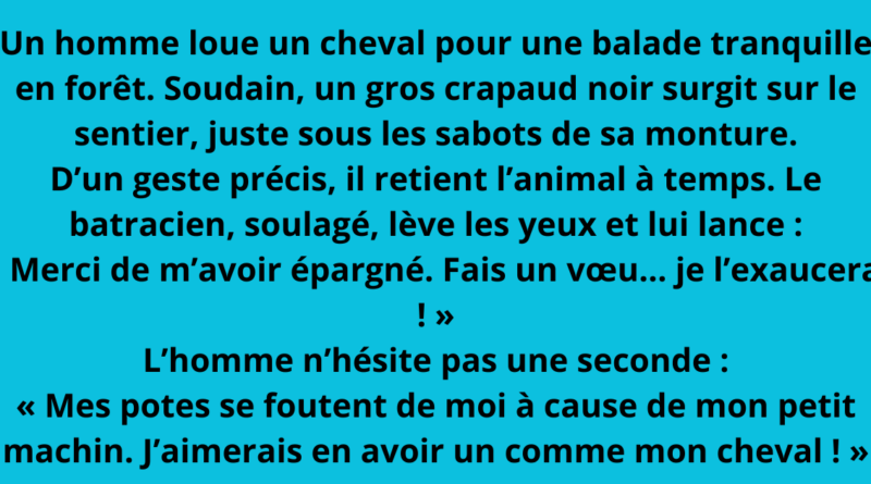 blague crapaud noir