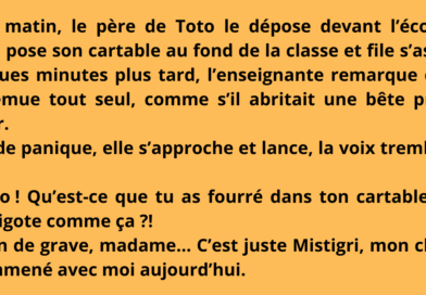 blague toto