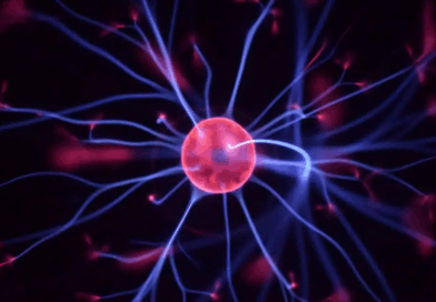 gourmandise rajeunit