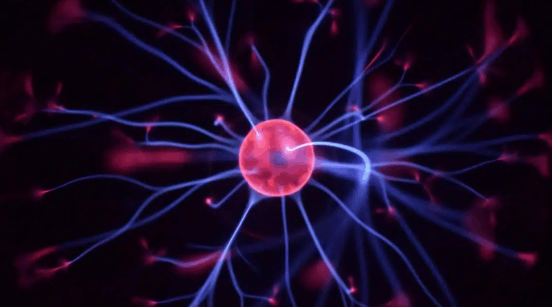 gourmandise rajeunit