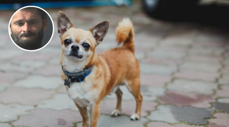 tue son chien dans un four