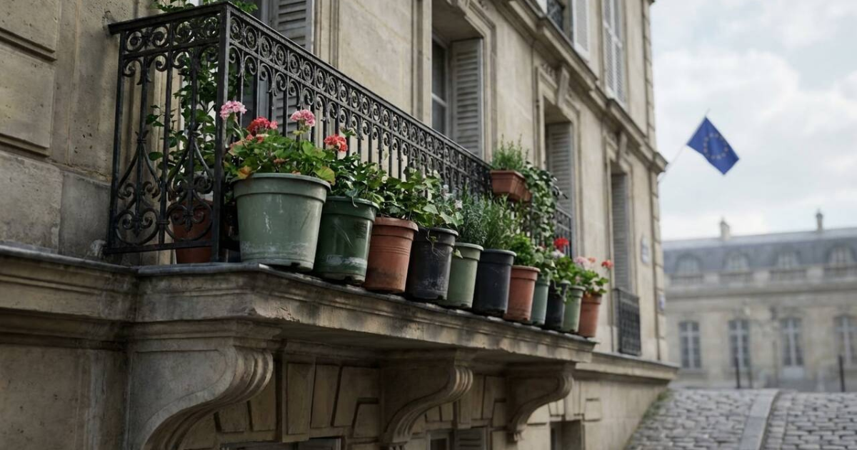 cransmantana cransmantana