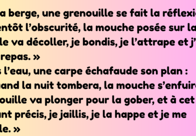 Un jeune Belge vient tout juste d’épouser une magnifique jeune femme. Le lendemain matin, ses amis le croisent par hasard et lui lancent « Alors, cette nuit de noces, ça a donné quoi » « Oh, je (1)