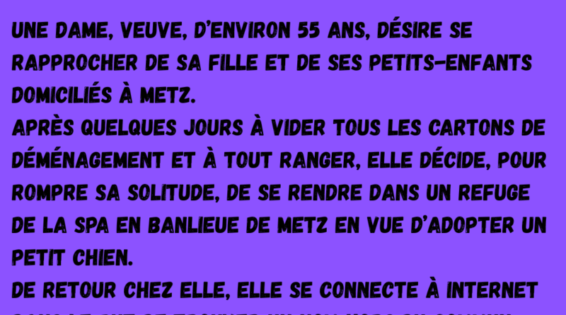 aide gov carburant (2)