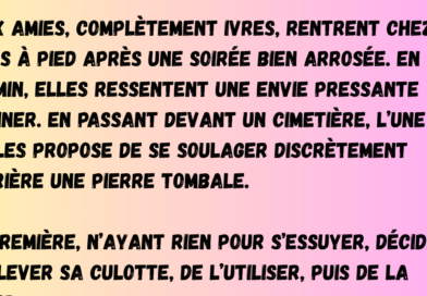 aide gov carburant (3)