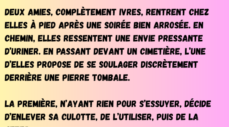 aide gov carburant (3)