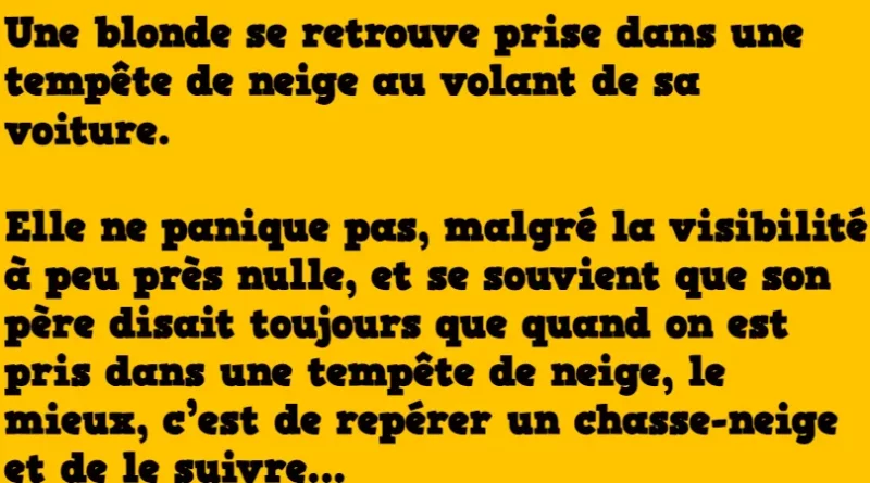 Blague : La blonde prise dans une tempête de neige !