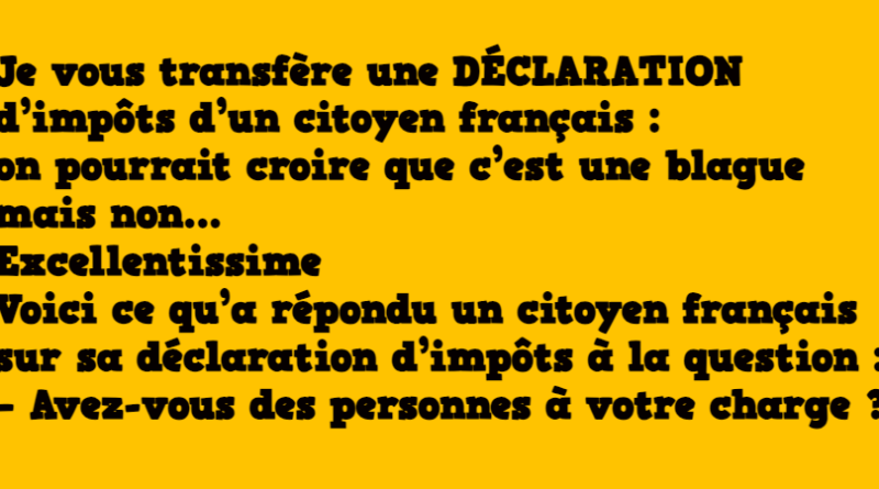 Blague déclaration d'impôt d'un citoyen français