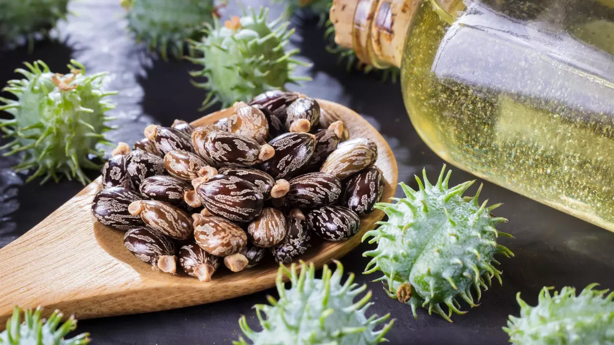 Bien utiliser l’huile de ricin - Grands Mères