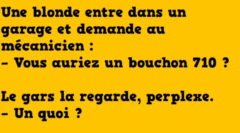 Blague une blonde dans un garage