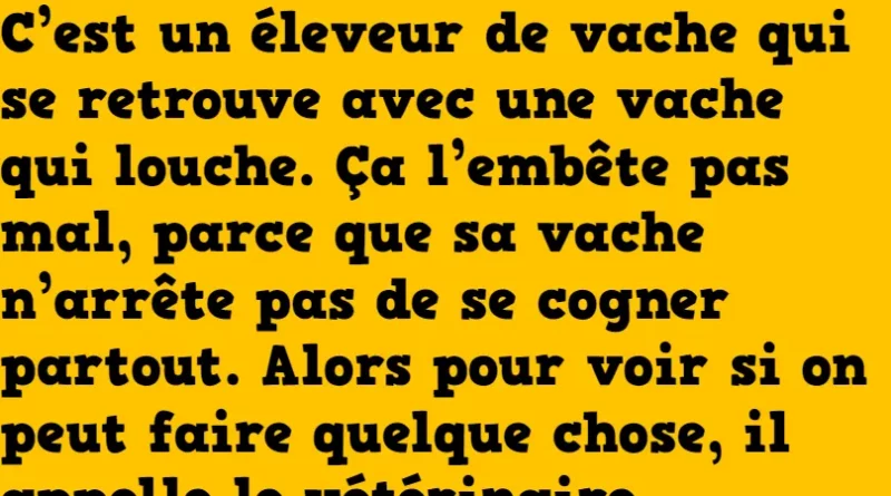 blague la vache qui louche