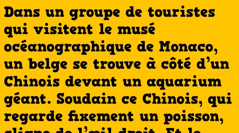 blague le belge et les ondes du cerveau