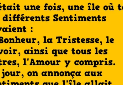 blague l'île aux sentiments