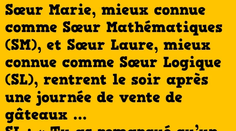 blague sœur mathématiques et sœur logique