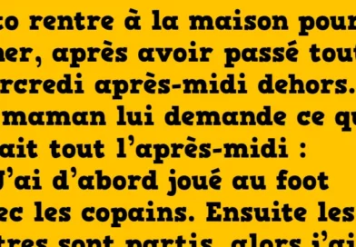 blague toto a beaucoup de chance