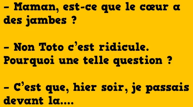 blague toto pose une question a sa maman