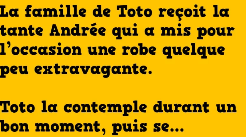 blague toto et la robe de tata andree
