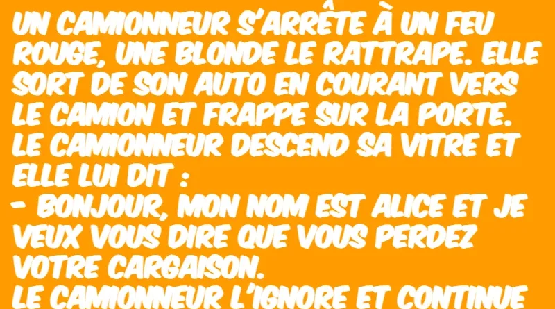 blague une blonde déterminée (1)