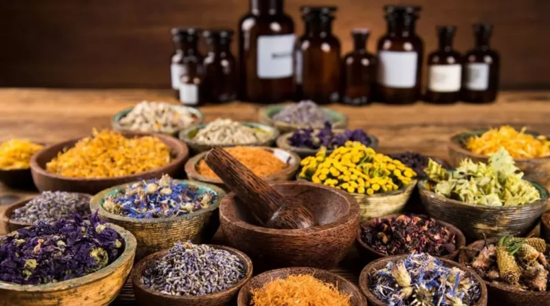 phytotherapie