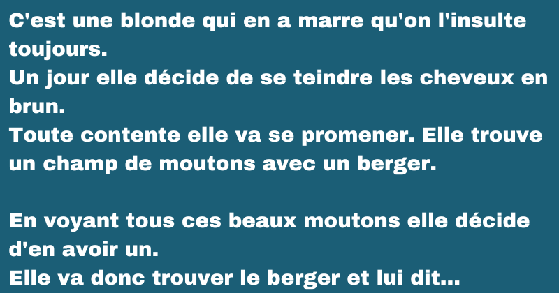 blague une blonde