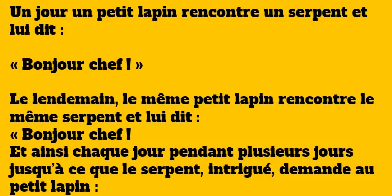 blague Les 5 meilleures blagues sur les animaux qui vous feront eclater de rire