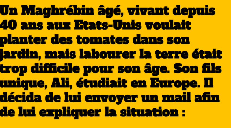 blague ali et les americains