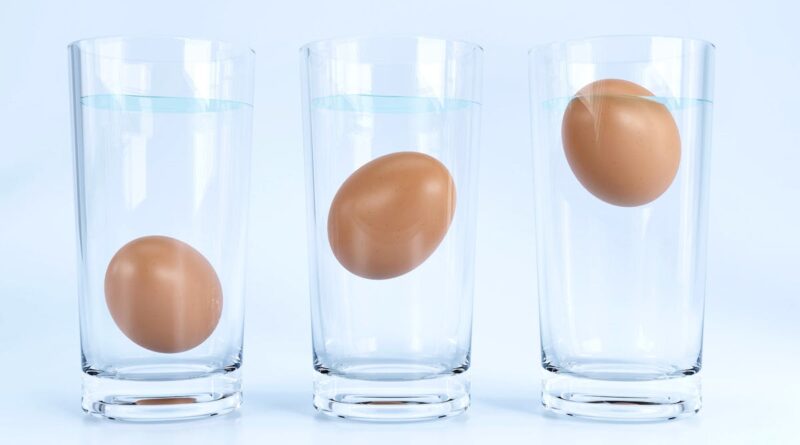 œuf comestible ou non test