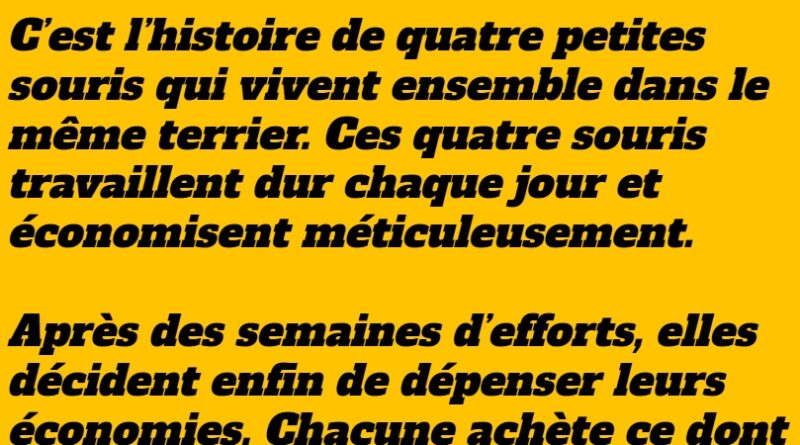 blague souris