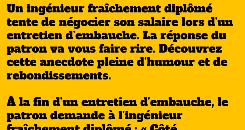 L’ingénieur et l’entretien d’embauche : une histoire drôle et ...