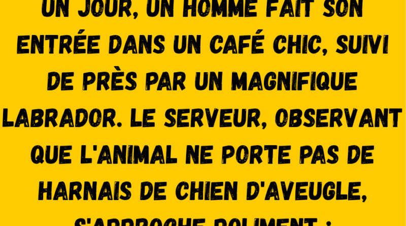 Imaginez cette scene   un chasseur experimente se promene tranquillement en 20250529 110300 0000