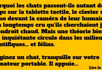 blague chat