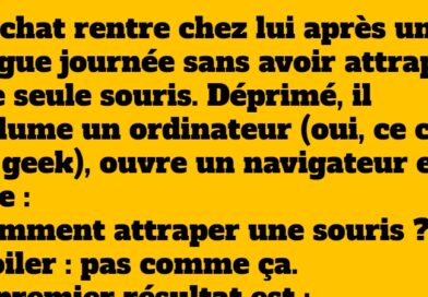 Le chat, la souris et l’ordinateur – Une blague Tech hilarante