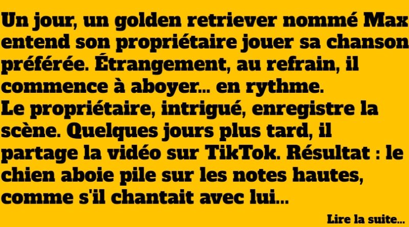 blague chien chanteur
