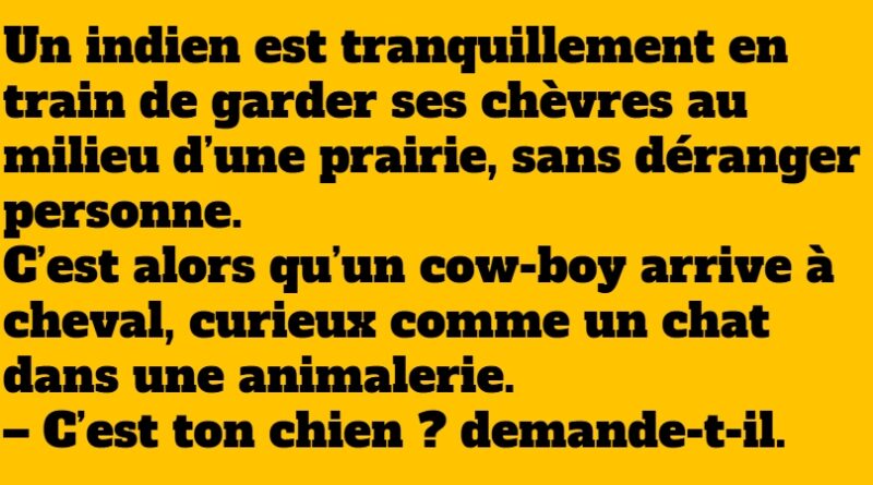 blague indien