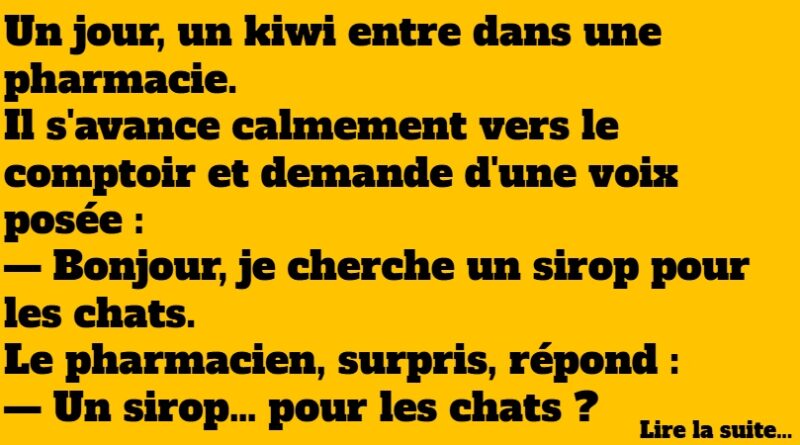 blague kiwi