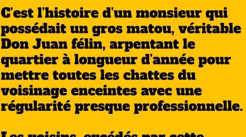 blague les consultants francais