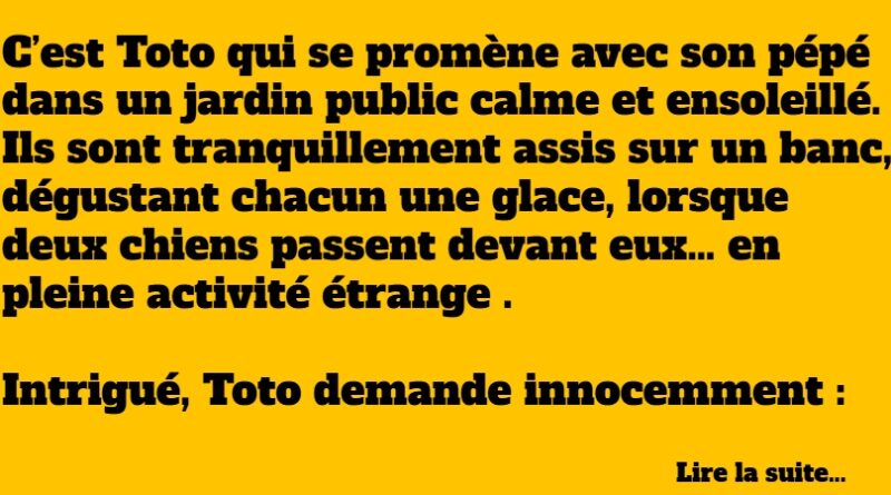 blague toto